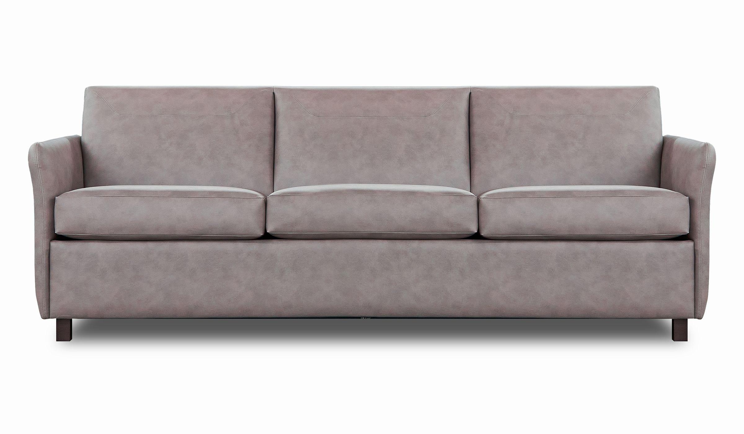 Sleeper Sofa