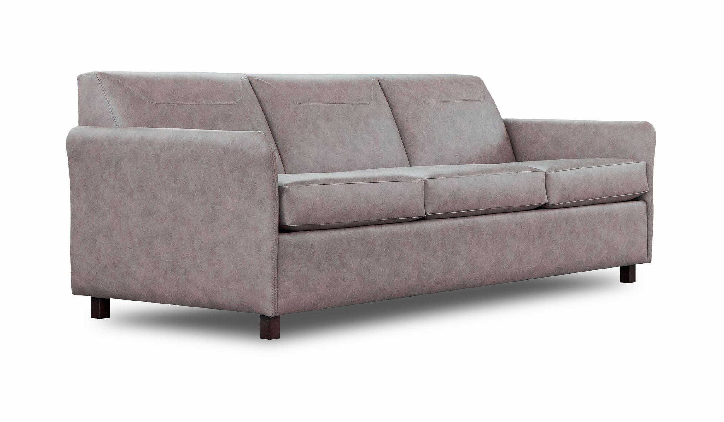 Sleeper Sofa